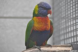 Vogelpark Turnersee