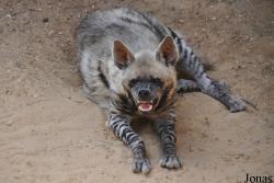 Haifa Educational Zoo