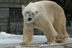 Zoo Wuppertal