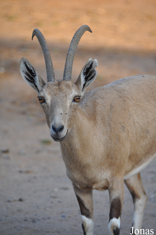 Zoological Center Tel Aviv-Ramat Gan