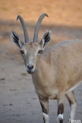 Zoological Center Tel Aviv-Ramat Gan