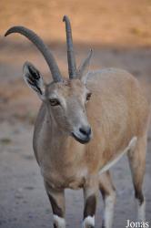 Zoological Center Tel Aviv-Ramat Gan