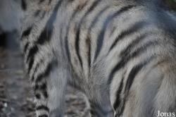 Zoological Center Tel Aviv-Ramat Gan