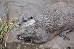 Scarborough Sea Life Sanctuary