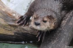 San Diego Zoo