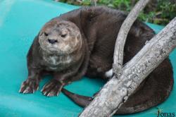 San Diego Zoo