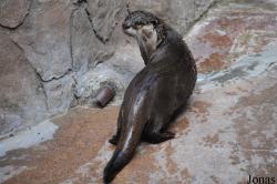 San Diego Zoo