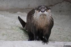 San Diego Zoo