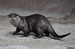 San Diego Zoo