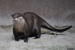 San Diego Zoo