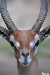 San Diego Zoo