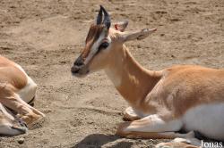 San Diego Zoo