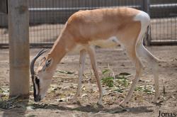 San Diego Zoo