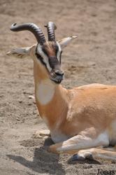 San Diego Zoo