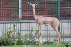Tierpark Berlin