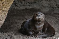 Bioparc Valencia