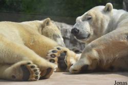 Zoologischer Stadtgarten Karlsruhe