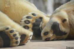 Zoologischer Stadtgarten Karlsruhe