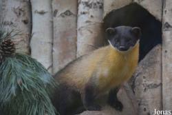 Zoo Bojnice