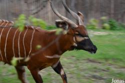 Zoo Bojnice