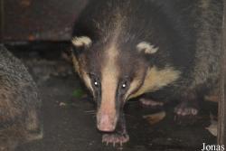 Hangzhou Zoo