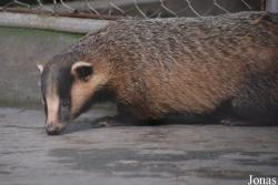 Hangzhou Zoo