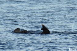 Monterey Bay