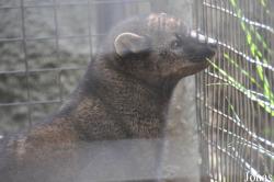 Charles Paddock Zoo