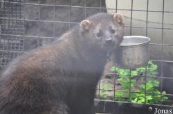 Charles Paddock Zoo