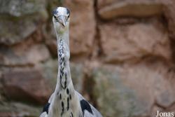 Zoo Landau in der Pfalz