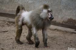 Zoo Wrocław