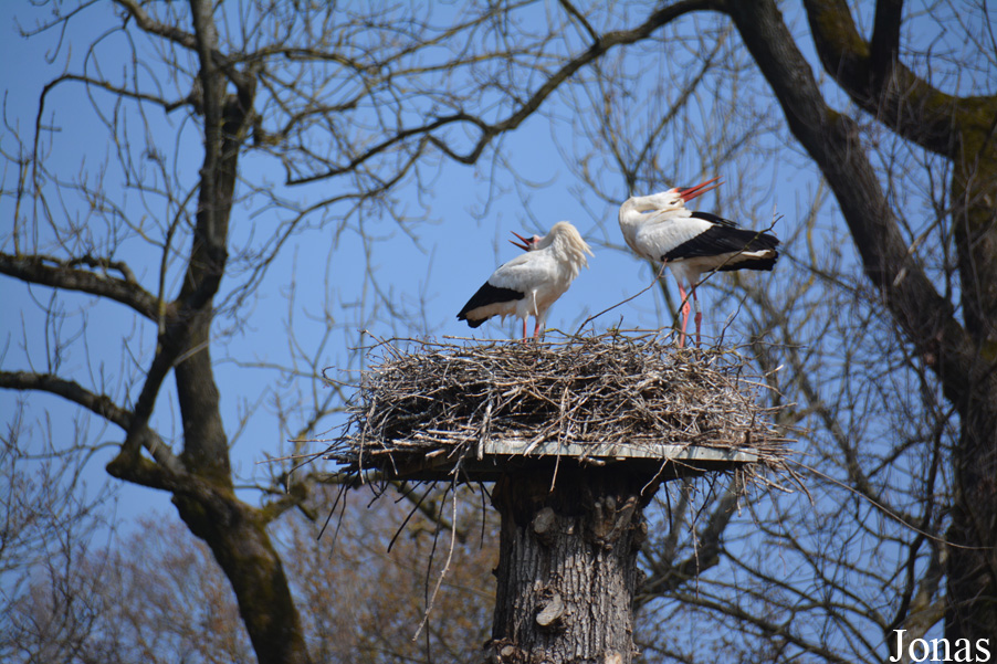 Tierpark Lange Erlen