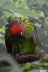 Zoo Antwerpen