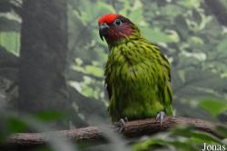 Zoo Antwerpen
