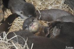 Zoo Jihlava