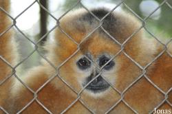 Endangered Primate Rescue Center (EPRC)