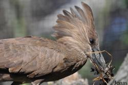 Zoo Praha