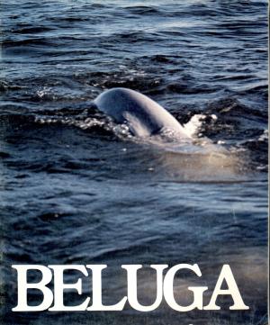 Guide 1978
