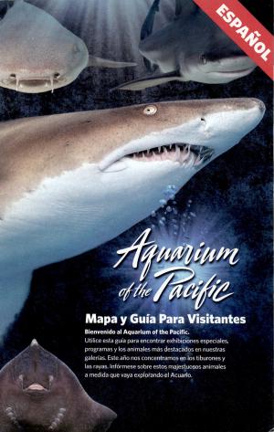 Guide 2009 - Edition espagnole