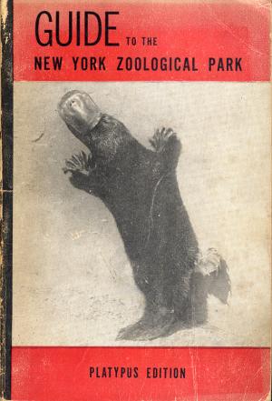 Guide 1947 - 5th Edition