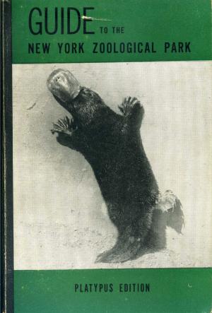 Guide 1947 - 5th Edition