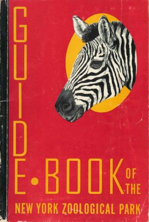 Guide 1951 - 6th Edition