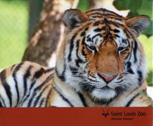 <strong>Saint Louis Zoo Animals Always</strong>, Impact Photographics, El Dorado Hills, 2010