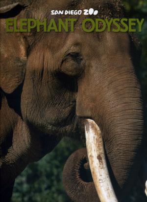 Guide 2011