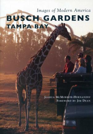 <strong>Busch Gardens Tampa Bay</strong>, Joshua McMorrow-Hernandez, Images of Modern America, Arcadia Publishing, Charleston, 2017
