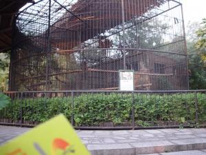 Installation des singes dorés