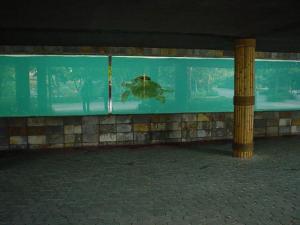 Installation des tortues aquatiques