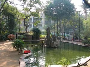 Enclos des oiseaux aquatiques