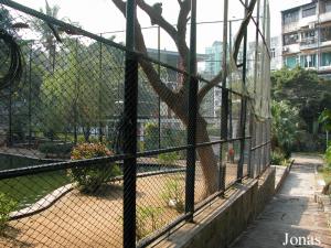 Enclos des oiseaux aquatiques