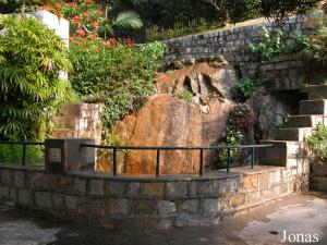 Bassin des tortues aquatiques
